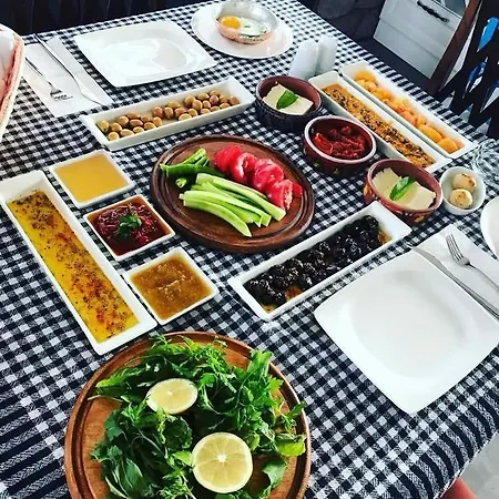 Rukiye Hanim Konaklari